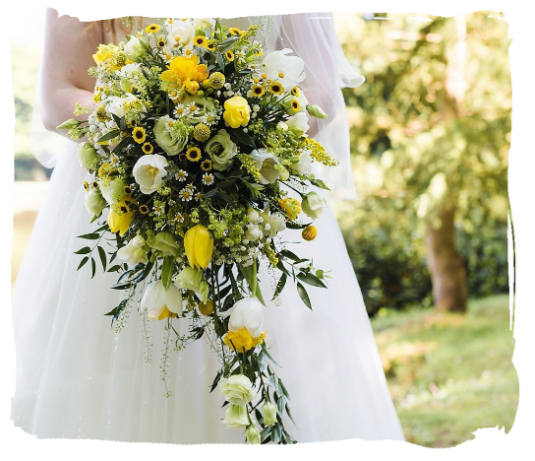 Yellow and ivory teardrop bridal bouquet